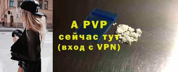 молекула духа Дмитров