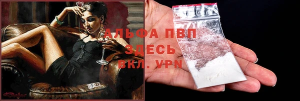 ECSTASY Дмитриев