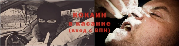 молекула духа Дмитров