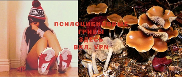 молекула духа Дмитров