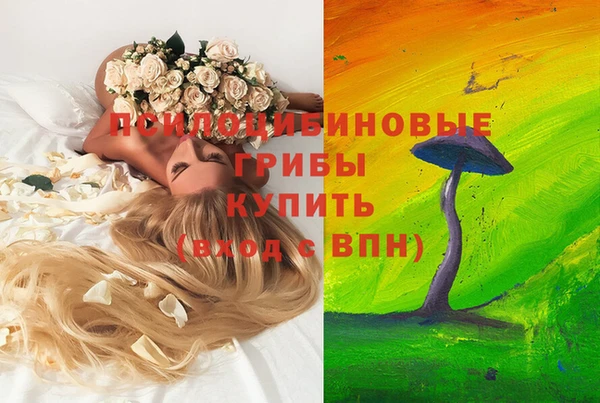 молекула духа Дмитров