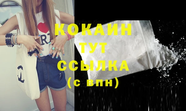 молекула духа Дмитров