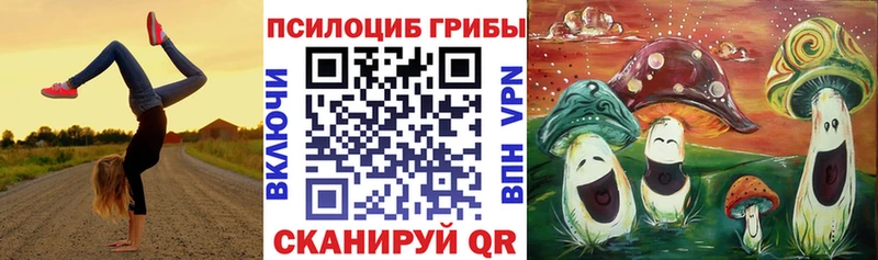 Купить  Кедровый  Псилоцибиновые грибы прущие грибы 